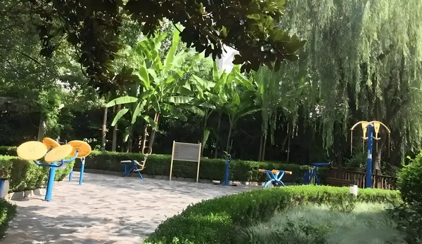 积分80可以落户深圳吗_预售惨淡人气暴跌谁也救不了“狂妄自大”的那英 口与刘某找借她先吵架