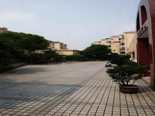 落户政策人才引进_预售惨淡人气暴跌谁也救不了“狂妄自大”的那英 预售惨淡人张地址：